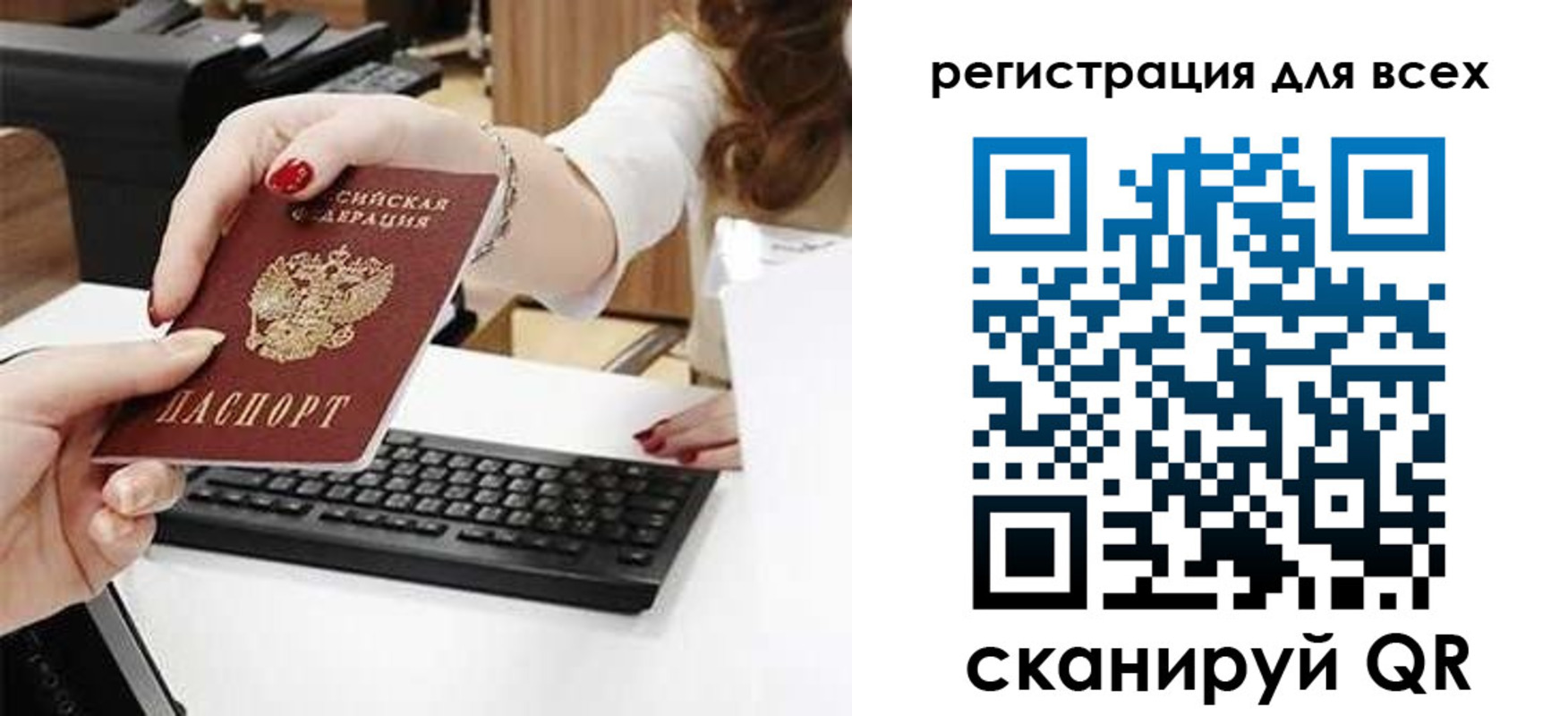 прописка в Светлогорске