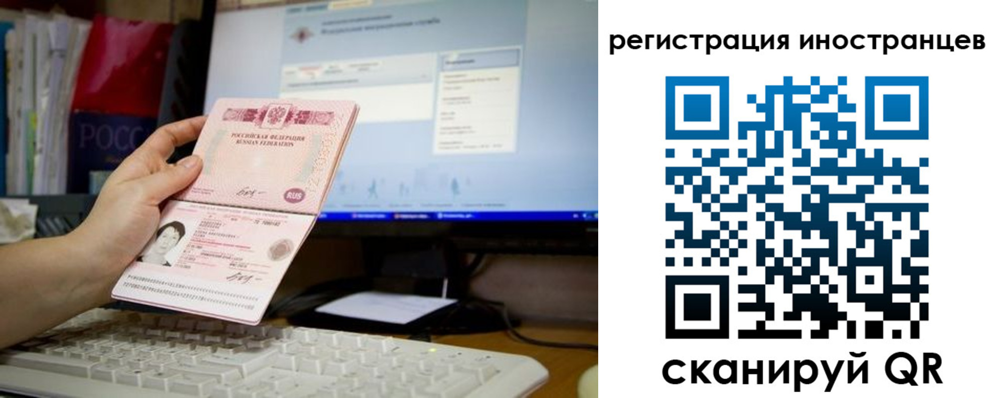 прописка 2025 в Светлогорске